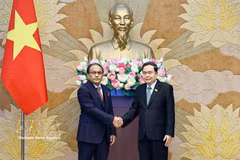 越南国会主席陈青敏（右）与马来西亚总检察长莫哈末杜苏基。图自越通社
