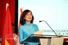 越南驻摩洛哥特命全权大使黎金规。图自越通社