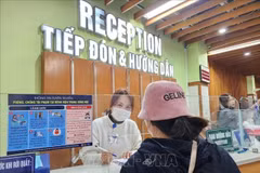 附图 图自越通社