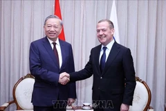 越共中央总书记苏林会见统一俄罗斯党主席、俄罗斯安全会议副主席梅德韦杰夫。图自越通社