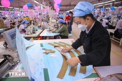 3·29纺织服装股份公司(岘港)生产线。图自越通社