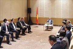 越共中央总书记苏林会见阿塞拜疆若干模范企业领导。图自越通社