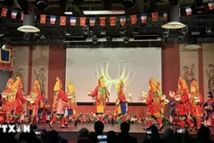 顺化宫廷雅乐表演。图自越通社
