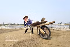 乂安省盐农。图自越通社