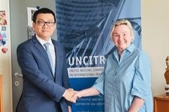 越南常驻维也纳联合国和其他国际组织代表武黎蔡黄大使与联合国国际贸易法委员会秘书长安娜·朱宾-布雷特。图自越通社