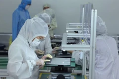 位于海防市安阳郡长月工业园区的Heesung Electronics Vietnam有限公司工厂正在组装用于出口的笔记本电脑。图自越通社