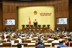 6月12日上午，国会将讨论并表决通过国会关于2025年省级行政单位调整决议。图自越通社 