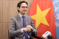 越南常驻联合国代表团团长邓雄越大使在接受越通社记者采访。图自越通社