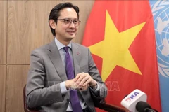 越南常驻联合国代表团团长邓雄越大使在接受越通社记者采访。图自越通社