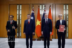 越共中央总书记、国家主席苏林出席越澳两国合作文件交换仪式。图自越通社