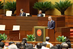 越共中央总书记、国家主席苏林在会议上发表讲话。图自越通社