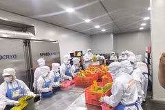 永隆省正秋公司的水果加工出口线。图自 越通社 