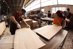 越南木材行业着力构建透明高附加值消费生态系统