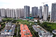 附图。图自越通社