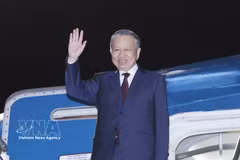 越共中央总书记、国家主席苏林圆满结束对新西兰的国事访问。图自越通社