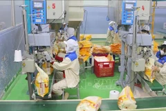 天赐（Loc Troi）集团旗下子公司熟山两室公司的大米包装厂。图自越通社