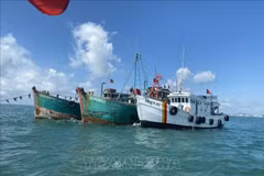 越南渔检发现并处理违法捕捞渔船。图自越通社