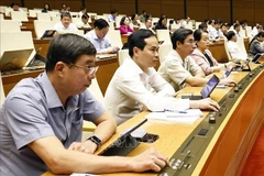 参加会议的与会代表。图自越通社