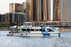 在西贡河上的旅游船。图自越通社