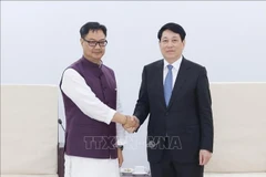 越南国家主席梁强与印度议会事务与少数民族事务部长基伦·里吉朱。图自越通社