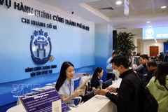 河内市公共行政中心。图自越通社