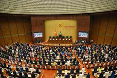 第十六届国会第一次会议开幕式。图自越通社