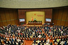 第十六届国会第一次会议开幕式。图自越通社