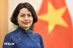 越南驻芬兰兼驻爱沙尼亚特命全权大使范氏清平。图自越通社