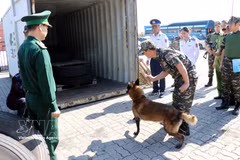海关人员毒品查缉演练。图自越通社