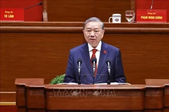 越共中央总书记苏林。图自越通社