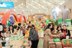 2026年春季博览会：春节期间丰富多彩、方便快捷的购物天堂。图自越通社