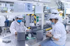 位于富寿省平川一工业园（富寿）的星工越南公司电子元件生产车间。图自越通社