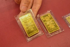 附图。图自越通社