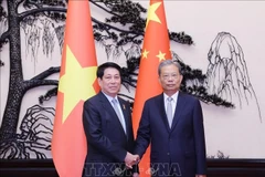 越南国家主席梁强与中国全国人大常委会委员长赵乐际。图自越通社