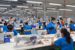 位于广义省静峰越南-新加坡工业园区（VSIP）的Great Honor国际有限责任公司。图自越通社