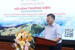越南世界地质公园专业委员会主任、地质科学与矿产研究院院长郑海山在会议上发表讲话。图自越通社