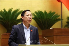越南国会经济与财政委员会主任潘文迈作关于《企业所得税法(修正案)》草案的意见说明、采纳与梳理报告。图自越通社
