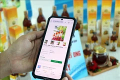 电子商务背景下的知识产权保护是一个值得关注的问题。图自越通社