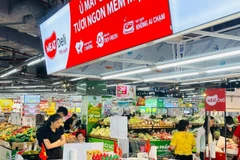 河内市促销活动期间，系列大型零售连锁店将推出各类促销活动。图自越通社
