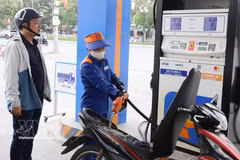 附图 图自越通社