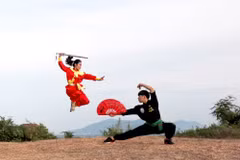 越南平定传统武术表演 。图自越通社