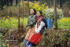 越南被视为一个安全、绿色、友好且文化特色鲜明目的地。图自越通社