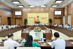 国会常务委员会第四次会议。图自越通社