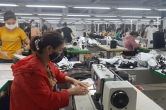 汇丰银行：2024甲辰龙年有望为越南开启更多机遇
