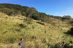 宁顺省主山国家公园着力保护和发挥生物多样性