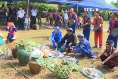 越南各民族文化旅游村的查皮琴制作体验空间