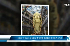 越南大叻市灵福寺麦秆菊佛像创下世界纪录