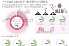 中小型企业在越南经济中扮演着举足轻重角色
