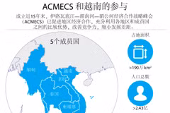 图表新闻：ACMECS 和越南的参与