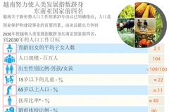 图表新闻：越南努力使人类发展指数跻身东南亚国家前四名